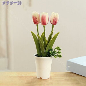 777~OFFN[| `[bv ItBX ̗Ή O[ ϗtA u CeA   lHϗtA rO ~j|bg O[ lHϗtA A lHA CeA 