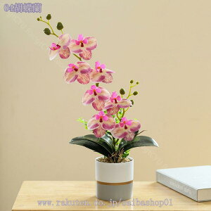 tFCNO[ ~j lHϗtA ~j fXNTCh IV ~jv^[ Ϗܗp  ̓ ̓ hV̓ j Mtg Vzj JXj JƏj   sv