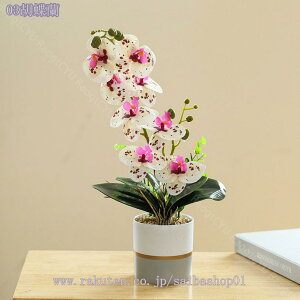 tFCNO[ lHϗtA tFCNt[ ~jA  lHA CeA  b炸 sv ItBX z[   fR[V ~j { t