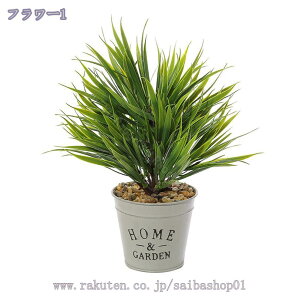 tFCNO[  tFCNO[ lHϗtA {݂ ~j ϗtA lHACeA CeA sv bsv tFCNO[ CeA A b