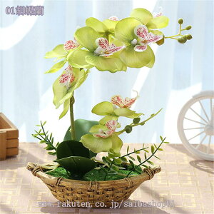 500~OFFN[| tFCNO[ lHϗtA tFCNt[ ~jA  lHA CeA  b炸 sv ItBX z[   fR[V ~j 