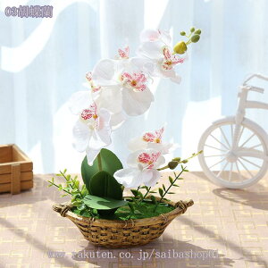 300~OFFN[| ϗtA ~j  fXNTCh IV ~jv^[ Ϗܗp CeA j v[g 蕨 Mtg zj V j j ~j A  A 