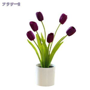 300~OFFN[| tFCNO[ ~j CeA x_[ lHϗtA gCɒu ̂ЂTCY { CeAO[ Eh|bg ϗtA   