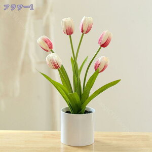 777~OFFN[| tFCNO[ lHϗtA {݂ ~j ϗtA lHACeA CeA sv bsv tFCNO[ CeA A b炸 R