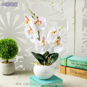 300~OFFN[| tFCNO[ ItBX ̗Ή O[ ϗtA u CeA   lHϗtA rO ~j|bg O[ lHϗtA A lHA Ce