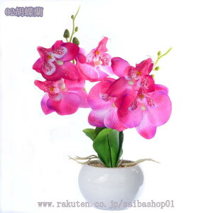 500~OFFN[| tFCNO[ ItBX ̗Ή O[ ϗtA u CeA   lHϗtA rO ~j|bg O[ lHϗtA A lHA Ce