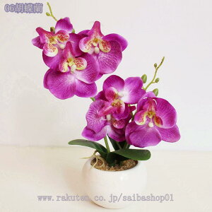 500~OFFN[| tFCNO[ ItBX ̗Ή O[ ϗtA u CeA   lHϗtA rO ~j|bg O[ lHϗtA A lHA Ce