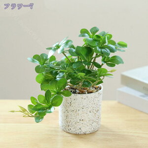 777�~OFF�N�[�|�� �ϗt�A�� �~�j ���A�� ������ �t�F�C�N�O���[�� �l�H�ϗt�A�� ��� �t�F�C�N���^ ���� �C���e���A���� �����s�v �����b�s�v �V�z�j�� ��̓� ���̓� �M�t�g ���Ղ� ���蕨 