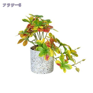 300~OFFN[| tFCNO[ ItBX ̗Ή O[ ϗtA u CeA   lHϗtA rO ~j|bg O[ lHϗtA A lHA Ce