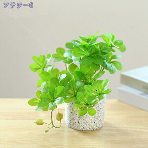 777~OFFN[| ϗtA ~j A  tFCNO[ lHϗtA  tFCN^  CeA sv bsv Vzj ̓ ̓ Mtg Ղ 蕨 