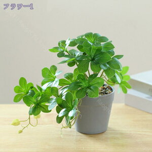 300~OFFN[| tFCNO[ ItBX ̗Ή O[ ϗtA u CeA   lHϗtA rO ~j|bg O[ lHϗtA A lHA Ce