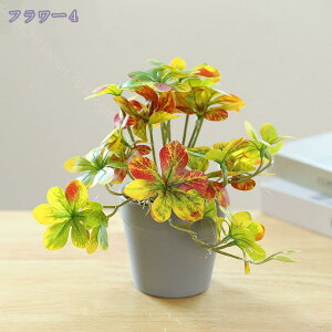 300~OFFN[| tFCNO[ ItBX ̗Ή O[ ϗtA u CeA   lHϗtA rO ~j|bg O[ lHϗtA A lHA Ce