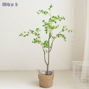 1000~OFFN[| tFCNO[ lHϗtA A X GgX c Ή E P  ze [ tFCN A CeA vX`bN b炸 j