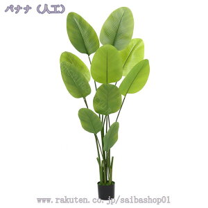 lHϗtA tFCN ^ tFCNO[  lH tFCNA CeA  O sv ͂Ȃ lH ϗtA tFCNO[  O u sv ͂Ȃ