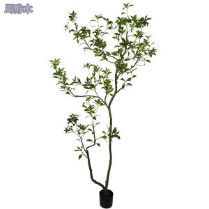 2000~OFFN[| lHϗt lHϗtA tFCNO[ ^ { Vv  b炸 sv ItBX  rO CeA A zj Vzj 