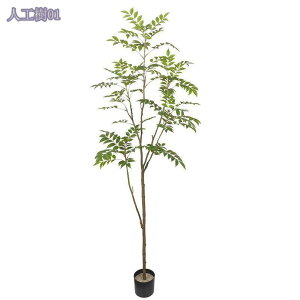 1000~OFFN[| lHϗtA tFCNO[ ^ 傫  CeA ̂Ȃ yȊϗtA  ͋C rO    p Mtg 蕨 