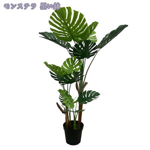 777~OFFN[| tFCNO[ ϗA lHϗt ϗtA Vv tFCNϗtA ^ lHϗtA p ItBX  CeA  CeA tFCNO