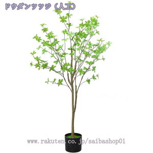 tFCNO[ lHϗtA CeA lHϗt lHϗtA tFCNO[ ϗtA ^ CeA  ItBX    p rO tFCNO[ j