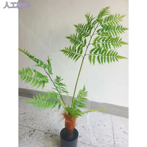 tFCNO[ ϗA lHϗt tFCNϗtA ^ lHϗtA p  tFCN  Vv ItBX  CeA ͗lւ y  j ̓ tFCN