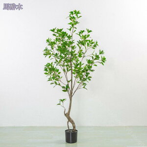 tFCNO[ ϗtA tFCN lHϗtA ^ CeA A  j Vv ItBX  rO  sv ͗lւ  p G  傫 l