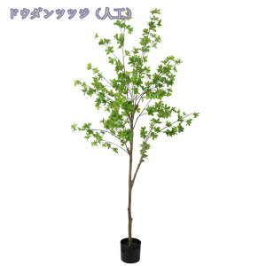 777~OFFN[| lHϗtA tFCN ^ tFCNO[  lH tFCNA CeA  O sv ͂Ȃ lH ϗtA tFCNO[  O u 