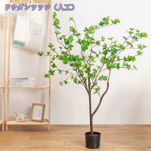 tFCNO[ lHϗtA CeA lHϗt lHϗtA tFCNO[ ϗtA ^ CeA  ItBX    p rO tFCNO[ j