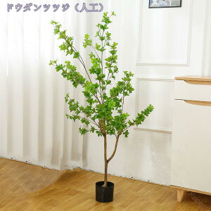 tFCNO[  ϗtA A CeA  X GgX c ItBX E P tFCN JXj Vzj zj JƏj ͂Ȃ y ~ 