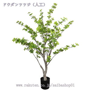 2000~OFFN[| tFCNO[ ϗA lHϗt tFCNϗtA ^ lHϗtA p  tFCN  Vv ItBX  CeA ͗lւ y  j