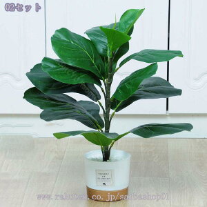 tFCNO[ lHϗtA t tFCN  z[ x_ p ^ CeA sv sv Q̐SzȂ zj Vzj  Ύ lHϗtA