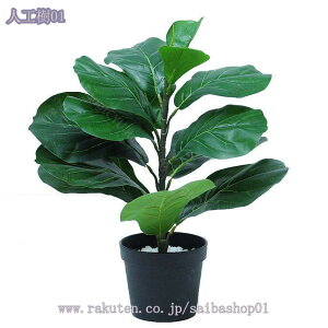 1000~OFFN[| tFCNO[ lHϗtA t tFCN  z[ x_ p ^ CeA sv sv Q̐SzȂ zj Vzj  