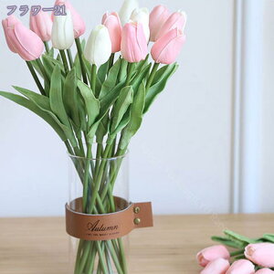 500~OFFN[| `[bv ͂Ȃ lHA CG[`[bv  A^b` lH`[bv z[fR EFfBOu[P fR[V  Fɂ X܏