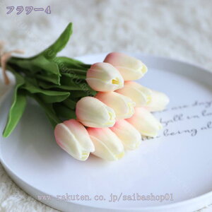 500~OFFN[|  `[bv AWg tFCNt[ A^b` `[bv tFCNVNsIj[t[ fR[V z[ ItBX EFfBOZ^[