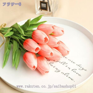 777~OFFN[|  `[bv A^b` tFCN`[bv tFCN`[bv tFCNt[ Z^[s[X z[EFfBOu[P v[g Mtg 蕨 JX