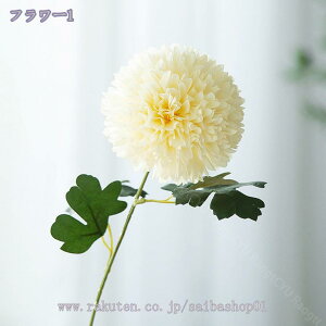 777~OFFN[| ۂ z  ͂Ȃ EFfBO u[P lHϗtA ԑ CeA fR[V 蕨  a  Be ] o^Cf[ iX 