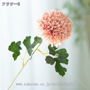 500~OFFN[| ۂ z  ͂Ȃ EFfBO u[P lHϗtA ԑ CeA fR[V 蕨  a  Be ] o^Cf[ iX 