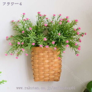 500~OFFN[| Ǌ| 邢F  tFCNt[ { ͂Ȃ t[ lHϗtA A[gt[ t[AWg CeA j rO