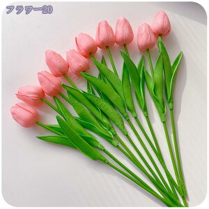 300~OFFN[| `[bv  ͂Ȃ EFfBO u[P lHϗtA ԑ CeA fR[V 蕨  a   Be ] o^Cf[ iX 