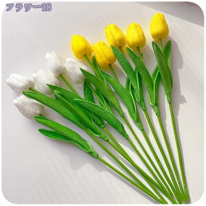 300~OFFN[|  VN `[bv { A[gt[ CeA `[bv  p[eB[ Be p z[  AWg Mtg v[g 