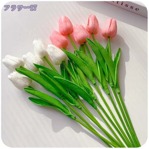 300~OFFN[| `[bv  ͂Ȃ EFfBO u[P lHϗtA ԑ CeA fR[V 蕨  a   Be ] o^Cf[ iX 