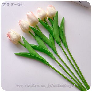 300~OFFN[|  ԑ `[bv CeA A[gt[ sN `[bv A^b` z[fR[V Z^[s[X AWg EFfBOu[P 