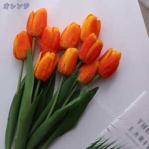 500~OFFN[|  A^b` EFfBOu[P ԑ `[bv CeA `[bv z[fR[V p[eB[ t[AWg j  p[eB