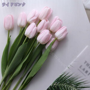  A^b` EFfBOu[P ԑ `[bv CeA `[bv z[fR[V p[eB[ t[AWg j  p[eB[̉ `[