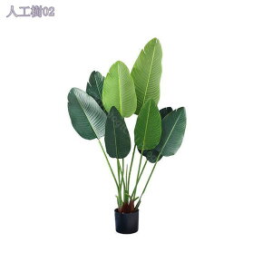 1000~OFFN[| tFCNO[ ϗA lHϗt ϗtA tFCN  Vv ItBX  CeA ^   j ̓ A ϗtA CeAO[ 