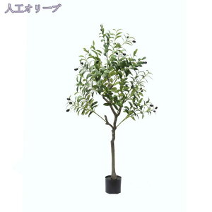 1000~OFFN[| ϗtA tFCNO[ CeA  lHA ^  sv sv  lHϗtA tFCNO[ lHA ϗtA tFCNO[