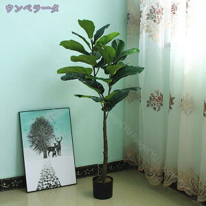 lHϗt lHϗtA tFCNO[ ^ { Vv  b炸 sv ItBX  CeA z[ fR[V A zj Vzj t