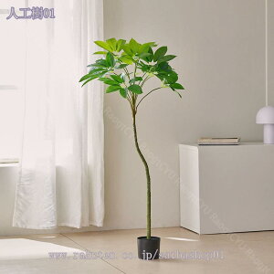 2000~OFFN[| tFCNO[ lHϗtA  A lHϗtA lHA CeA rO  JX 킢 Lb` rO _CjO Q Mtg 蕨 Ce