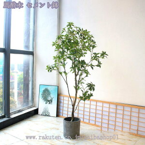 1000~OFFN[| lHϗtA  A tFCNO[ ^ CeA x_ p X u fR[V 뉀 ItBX _ j v[g Mtg 蕨 