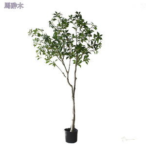 1000~OFFN[| tFCNO[ lHϗtA t tFCN  lHϗtA Ύ  z[ x_ p ^ CeA sv sv Q̐SzȂ z