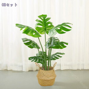 1000~OFFN[| tFCNO[ ϗA lHϗt ϗtA Vv tFCNϗtA ^ lHϗtA p ItBX  CeA  j ̓ Mtg 蕨 C