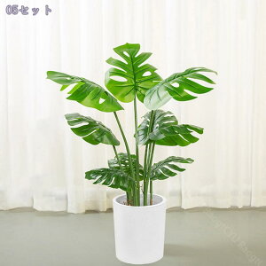 1000~OFFN[| tFCNO[ ϗA lHϗt ϗtA Vv tFCNϗtA ^ lHϗtA p ItBX  CeA  j ̓ Mtg 蕨 C